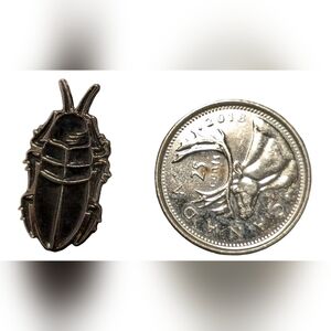 📌🪳💀 Enamel pin cockroach